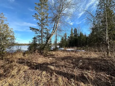 Off Forest Road 8300 Marenisco MI 49947