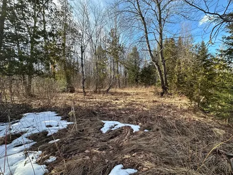 Off Forest Road 8300 Marenisco MI 49947