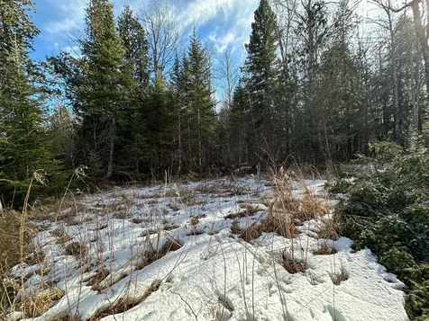 Off Forest Road 8300 Marenisco MI 49947