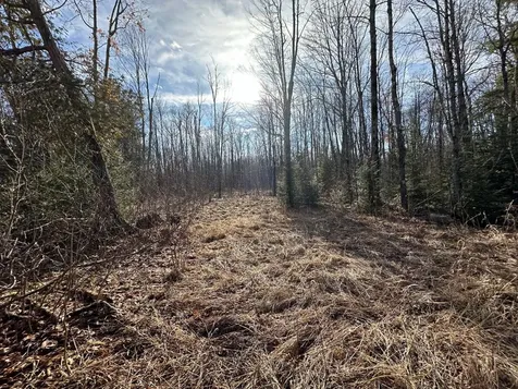 Off Forest Road 8300 Marenisco MI 49947