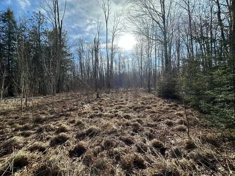 Off Forest Road 8300 Marenisco MI 49947