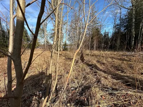 Off Forest Road 8300 Marenisco MI 49947
