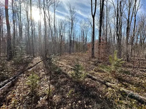Off Forest Road 8300 Marenisco MI 49947