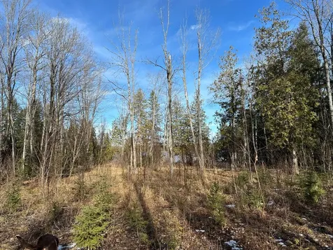 Off Forest Road 8300 Marenisco MI 49947
