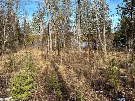 Off Forest Road 8300 Marenisco MI 49947