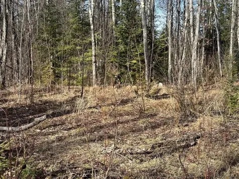 Off Forest Road 8300 Marenisco MI 49947