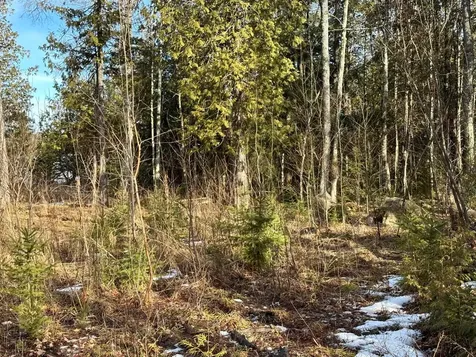 Off Forest Road 8300 Marenisco MI 49947