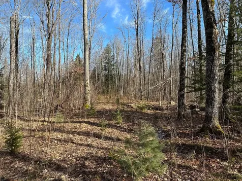Off Forest Road 8300 Marenisco MI 49947