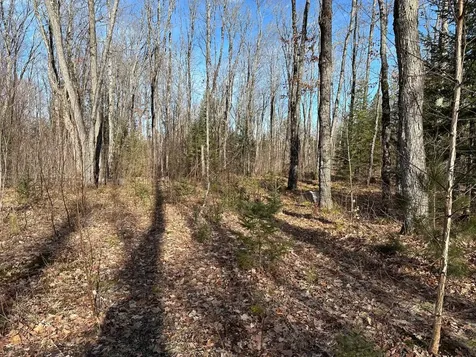 Off Forest Road 8300 Marenisco MI 49947