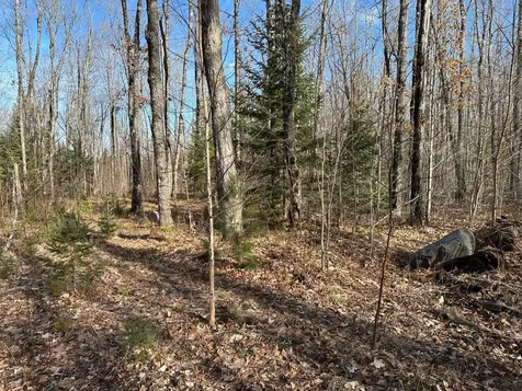 Off Forest Road 8300 Marenisco MI 49947