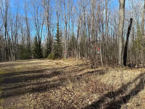 Off Forest Road 8300 Marenisco MI 49947