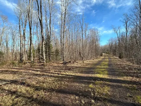 Off Forest Road 8300 Marenisco MI 49947