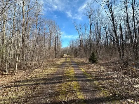 Off Forest Road 8300 Marenisco MI 49947