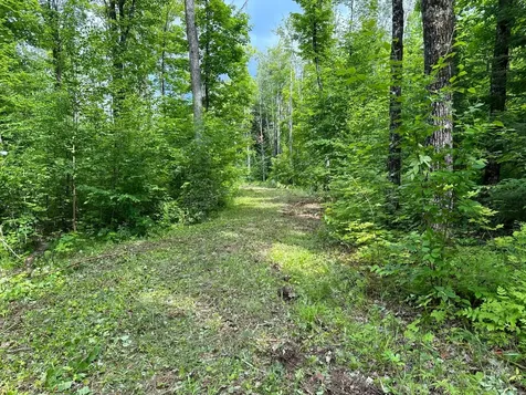 Off Forest Road 8300 Marenisco MI 49947