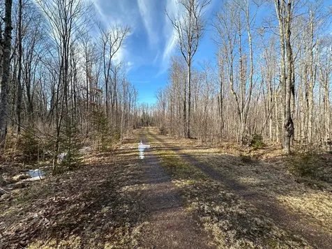 Off Forest Road 8300 Marenisco MI 49947