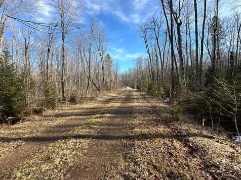 Off Forest Road 8300 Marenisco MI 49947