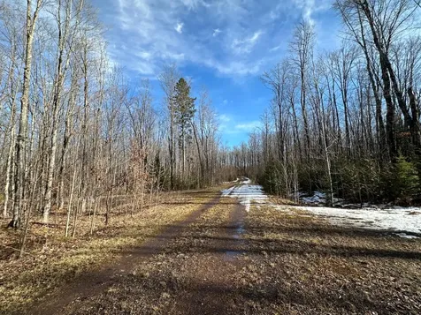 Off Forest Road 8300 Marenisco MI 49947
