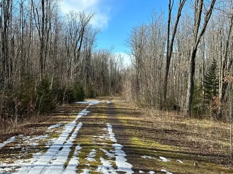 Off Forest Road 8300 Marenisco MI 49947