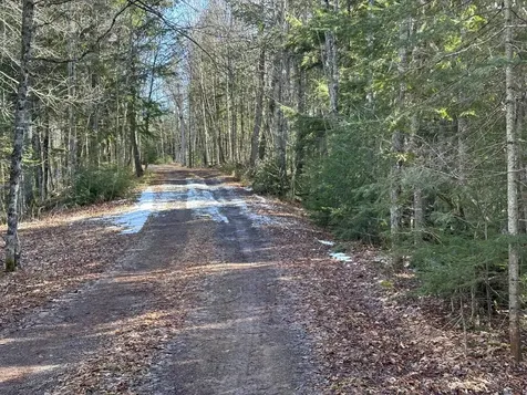 Off Forest Road 8300 Marenisco MI 49947