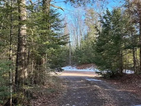Off Forest Road 8300 Marenisco MI 49947