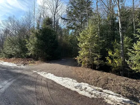 Off Forest Road 8300 Marenisco MI 49947