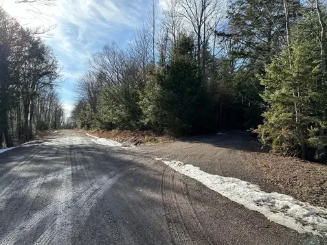 Off Forest Road 8300 Marenisco MI 49947