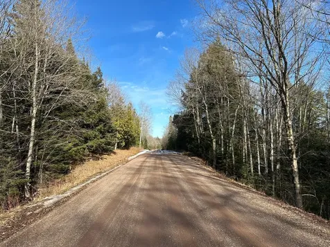 Off Forest Road 8300 Marenisco MI 49947