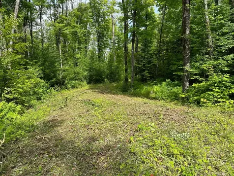 Off Forest Road 8300 Marenisco MI 49947