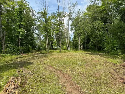 Off Forest Road 8300 Marenisco MI 49947