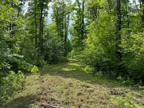 Off Forest Road 8300 Marenisco MI 49947
