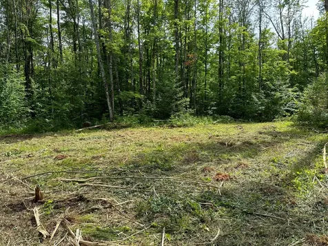 Off Forest Road 8300 Marenisco MI 49947