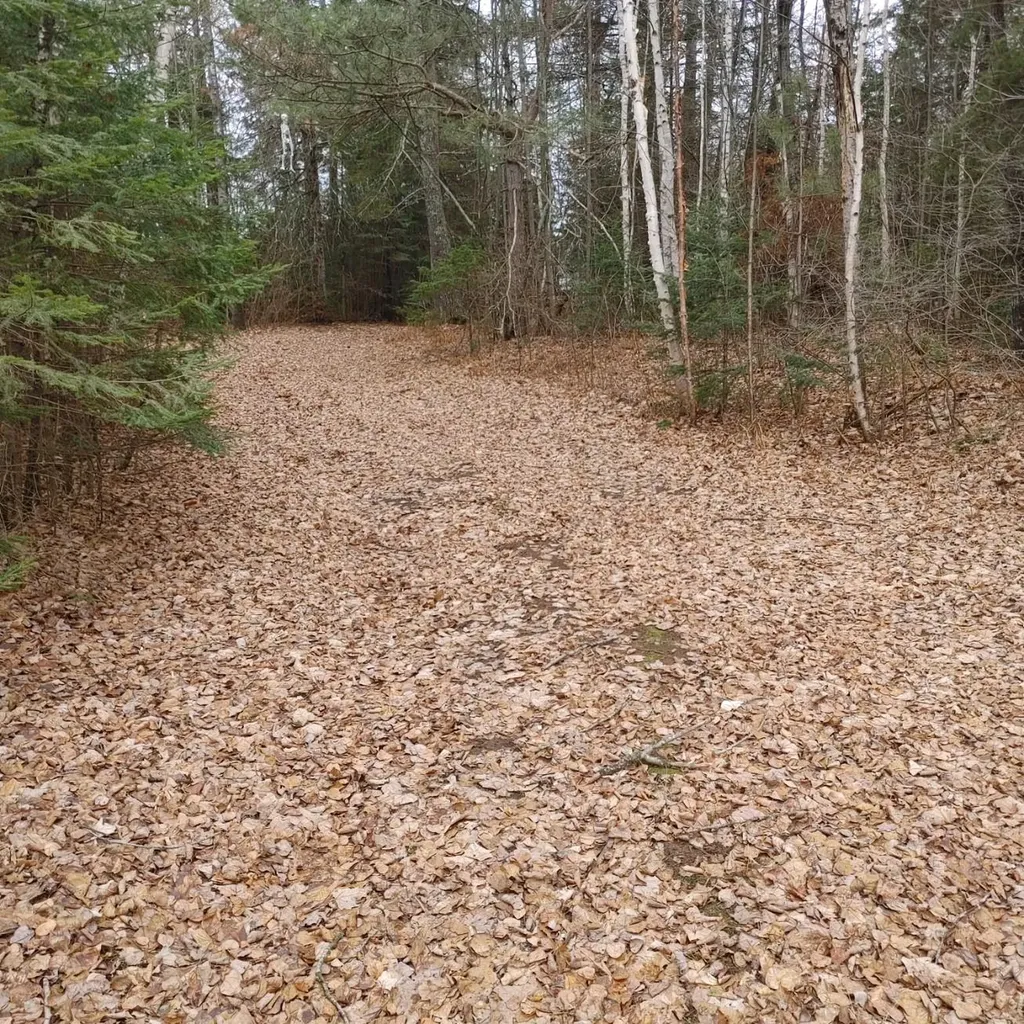 Lot 31 Shady Knoll Road Fifield WI 54552