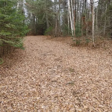 Lot 31 Shady Knoll Road Fifield WI 54552