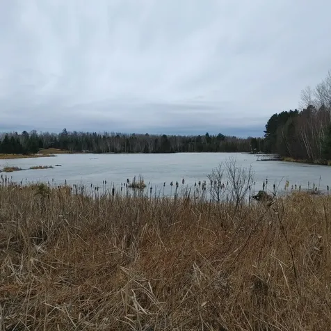 Lot 31 Shady Knoll Road Fifield WI 54552