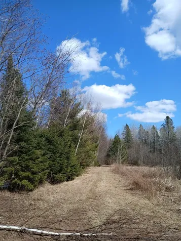 Lot 31 Shady Knoll Road Fifield WI 54552