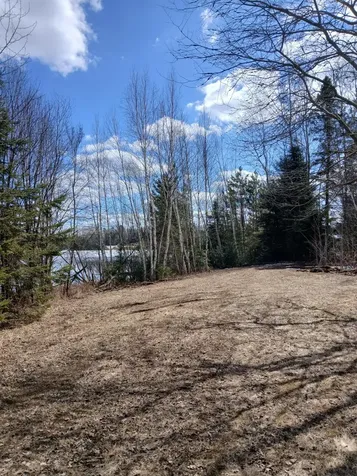 Lot 31 Shady Knoll Road Fifield WI 54552