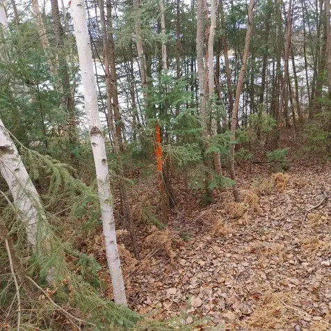 Lot 31 Shady Knoll Road Fifield WI 54552