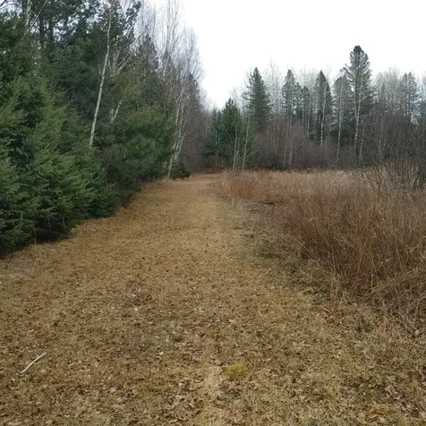 Lot 31 Shady Knoll Road Fifield WI 54552