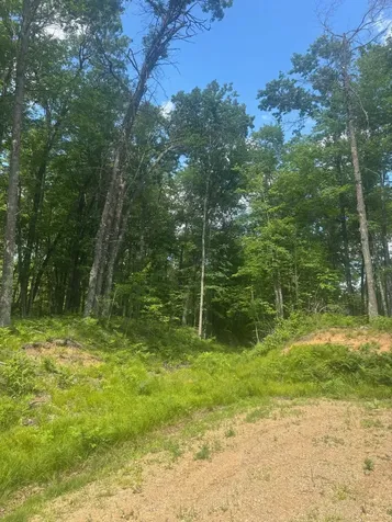 Off Bennett Road Amberg WI 54102