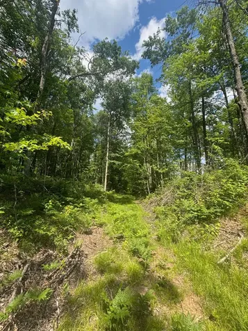 Off Bennett Road Amberg WI 54102