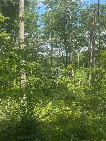 Off Bennett Road Amberg WI 54102