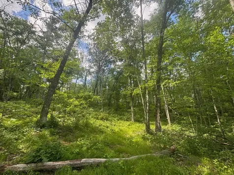 Off Bennett Road Amberg WI 54102