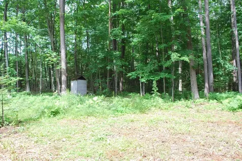 8396 Cth Dd Pickerel WI 54465