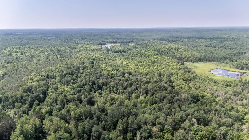 10701 Kuusisto Road Carey WI 54534