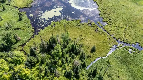 10701 Kuusisto Road Carey WI 54534