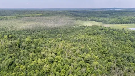 10701 Kuusisto Road Carey WI 54534