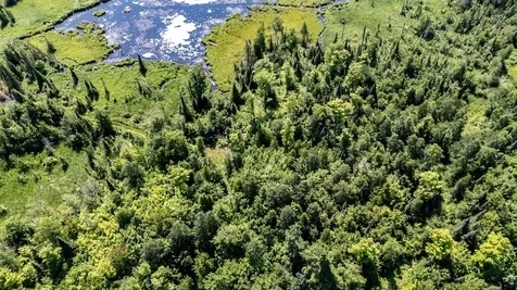 10701 Kuusisto Road Carey WI 54534