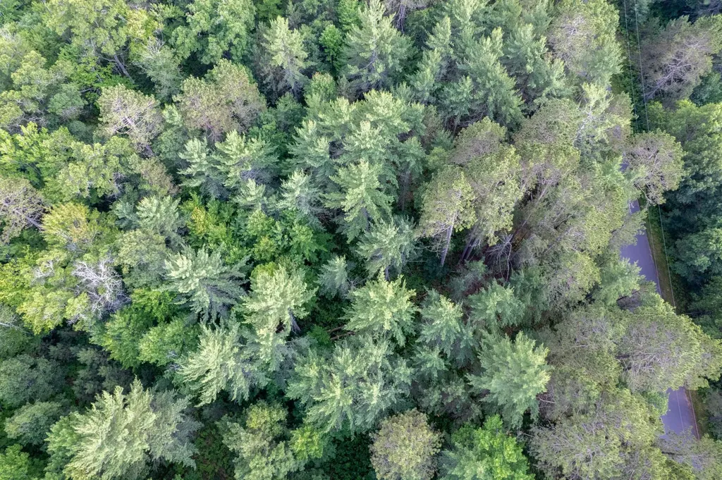 Lot 4 Dads Lake Road Eagle River WI 54521