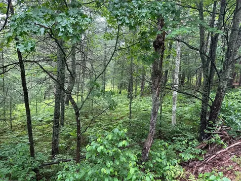 Lot 4 Dads Lake Road Eagle River WI 54521