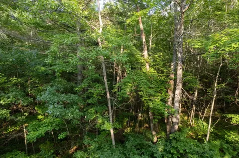 Lot 4 Dads Lake Road Eagle River WI 54521